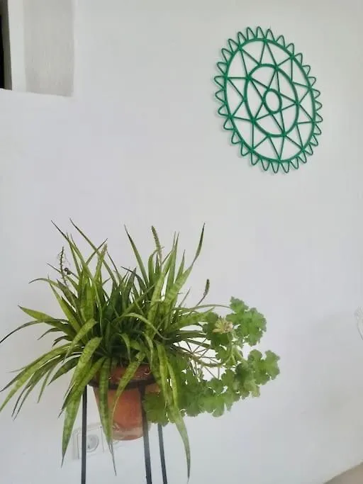 Casa Kira Sur, Macher Tias